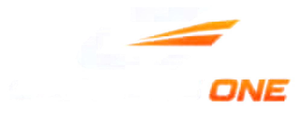 CARRIERS ONE — Your Trusted Logistics Partner